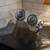 Vintage General Store Glass Hexagonal Storage Canisters 2 Available Ki 4 thumbnail
