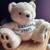 Teddy Bear 1 thumbnail