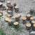 RUSTIC GARDEN STOOLS AND WOOD ROUNDS 4 thumbnail