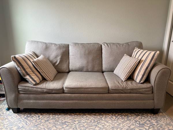 Couch Sleeper Sofa 1