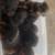 Fluffy New Furr Babies 2 thumbnail