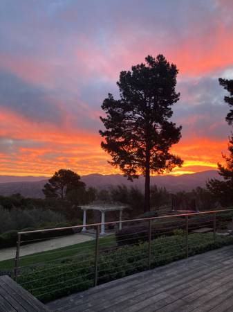 Boutique Overnight Dog Boarding, Gated Acre - One Dog Family at a Time 1