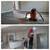 HOME CONSTRUCTION (general contracting services) (LICENSE CONTRACTOR) 11 thumbnail