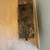 Rustic wood Bellows/use as Table?! 6 thumbnail