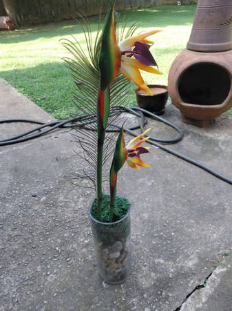 Birds Of Paradise Flower Arrangement Flora Vase - $20 (clarkston 30321)63469932311169124