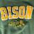 NDSU sweatshirt 2 thumbnail