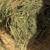 Hay for sale 2 thumbnail