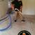 $45.00 Carpet Cleaning 🤝🏻🙋🏻‍♀️Sofa Cleaning 3 thumbnail