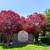 Now accepting applications! Amazing 2 bed, 2 bath in La Mesa! 17 thumbnail
