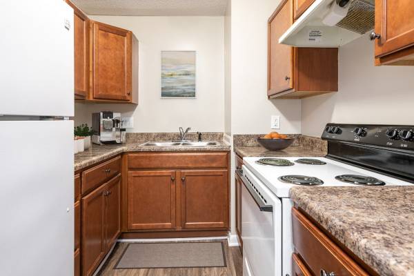 $1,125 / 1br - 804ft2 - Hermoso departamento de 1 habitación disponible hoy (1903 Morningside Drive, Burlington NC, 27217)64027440163715121