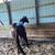 AQHA Gelding 24 thumbnail