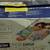 BRAND NEW Epson Stylus C42UX Ink Jet Printer with cartridge 1 thumbnail
