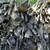 Seasoned Oak Firewood--Sale or Trade 1 thumbnail