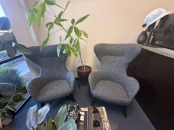 Reception desk, modern chairs, leather sofa 1