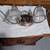 30" Vanity Light (With 4 Light) Chrome Finish(Reduced) 1 thumbnail