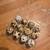 Quails eggs 3 thumbnail