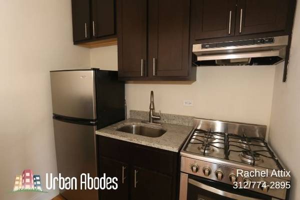 $1,375 / 400ft2 - **$300 OFF 1ST MONTH!** Updated Studio/1-Bath, Available: 11/1/2025 (Ravenswood)63898731058051122