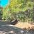 1.42 Acres in Waynesville - 123 Live Oak Lp, Lot 29 14 thumbnail