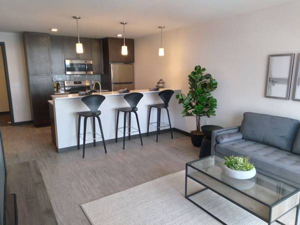 $1,639 / 506ft2 - in Seattle WA, Studio 1/ba, Vinyl Plank Flooring (8612 Palatine Avenue North, Seattle, WA)63659549423491121