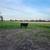 Bred Cows 9 thumbnail