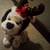 Christmas Musical Dog 2 thumbnail