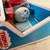 Thomas & Friends Splash Tank James Red Motorized TrackMaster Train 6 thumbnail
