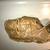 Vintage Penneys Foremost 6317 Left-Handed Baseball Glove 2 thumbnail