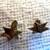2 Vintage Wolf Cub Sixer Service Stars circa 1966 2 thumbnail