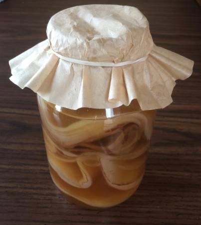Kombucha Mother Starter Scoby Maker healthy organic homemade tea drink 1