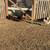 Chickens 7 thumbnail