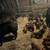 Feeder Pigs 11 thumbnail