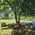 Landscaping: Small And Medium  Size projects are welcome 8 thumbnail