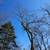 LANDSCAPING TREE REMOVAL FREE ESTIMATES (Waukesha,Pewaukee,delafield 18 thumbnail