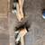 20065.3 Silverado intake with injectors and exhaust headers. 7 thumbnail