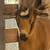 Rehoming goats 7 thumbnail