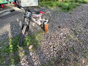 Specialized Status II