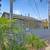 Cozy 1B x1B Jr --  In the heart of Menlo Park- Available 10/12/2025 4 thumbnail
