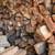 Dry, Seasoned Firewood For Sale! 3 thumbnail