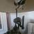 Frederick Cooper "Polly by Night" Lamp 6 thumbnail