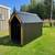 DOG HOUSE 8 thumbnail