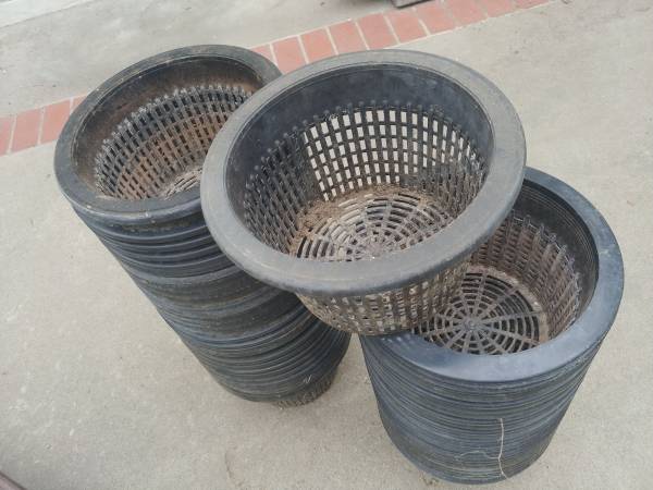 Free hydroponic pots (12" diameter) 1
