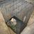 Pair of pet rodent enclosures 5 thumbnail