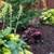 YARD CLEAN UP AND MUCH MORE CALL TONY TODAY AT 5415051862 3 thumbnail