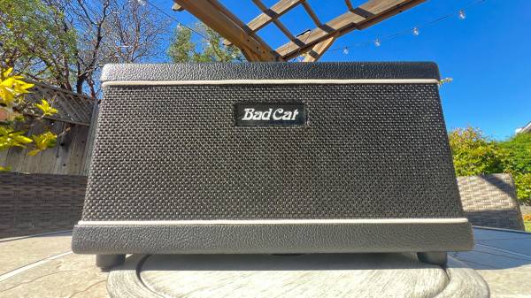 Bad Cat The Paw Amp Head 1