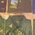 Masters Golf Memorabilia 6 thumbnail