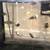Mbuna Cichlids 3 thumbnail