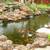 POND AND WATERFALLS (KOI POND) 9 thumbnail