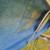 Canoe 3 thumbnail