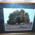 BLUEBONNETS AND BIG OAK, B. Herd limited edition, signed, framed print 1 thumbnail