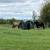 Ranch work fencing, feeding, fixing things 12 thumbnail